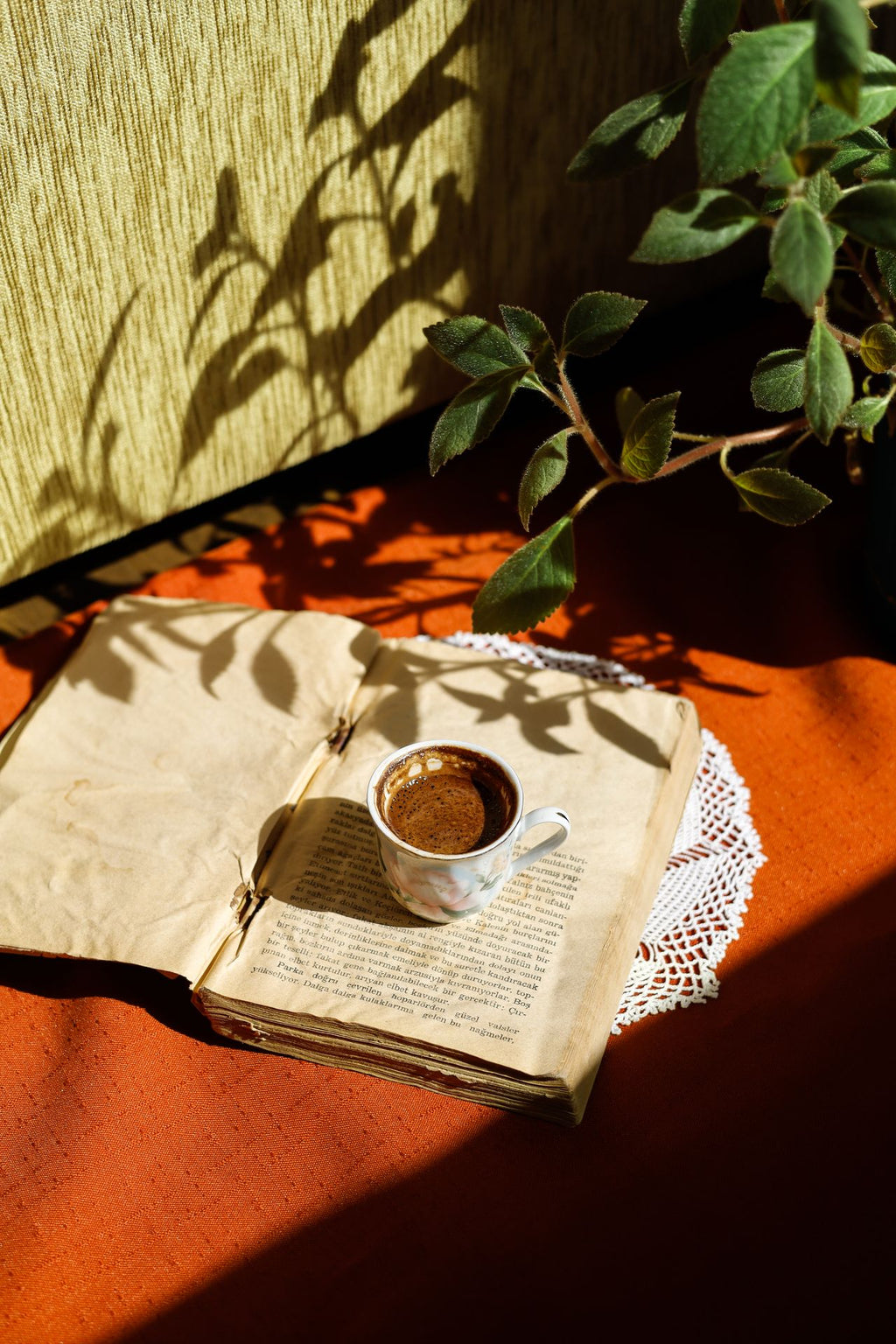 VanHugo Original Tera 100% Arabica Coffee